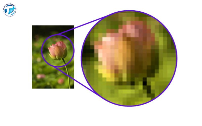 Ví dụ về bitmap